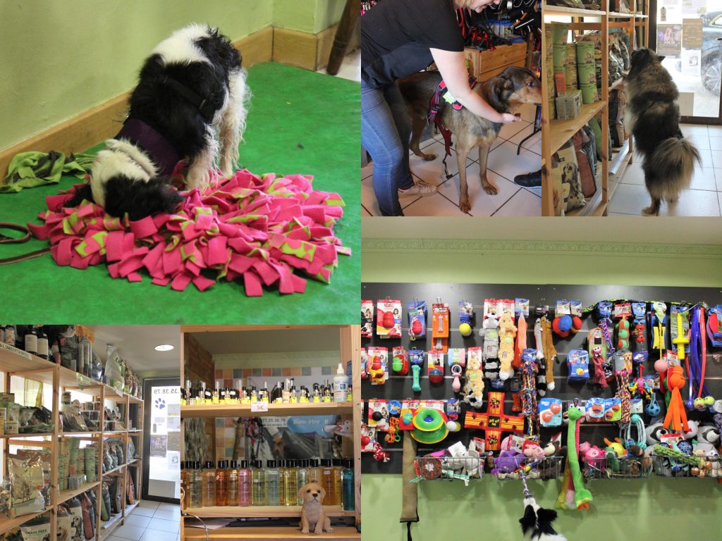 Boutique produits pour chiens et chats O'Caneo